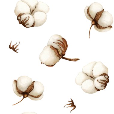 Beyaz arkaplandaki suluboya pamuk yumuşaklığı kusursuz desen. Arkaplan, doku, kart, çerçeve için Botanik Aquarelle yabani çiçeği