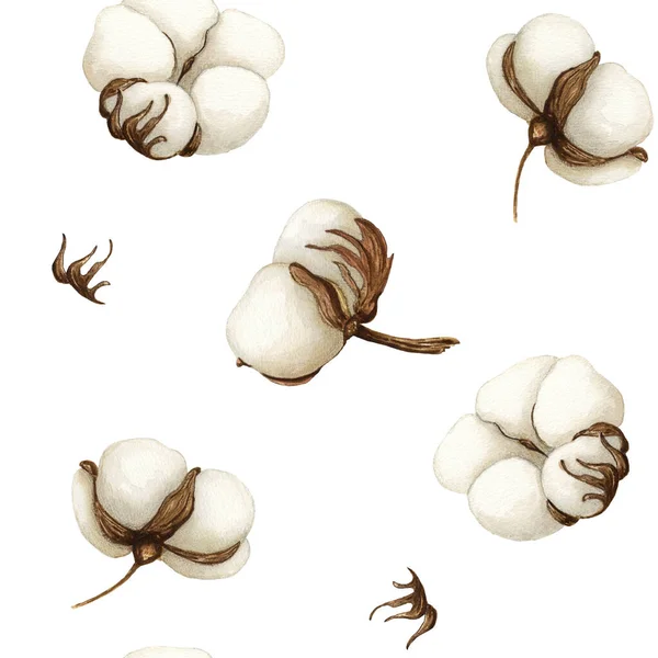 Beyaz arkaplandaki suluboya pamuk yumuşaklığı kusursuz desen. Arkaplan, doku, kart, çerçeve için Botanik Aquarelle yabani çiçeği