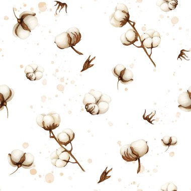 Suluboya Pamuk Yumuşaklığı beyaz arka planda lekeli kusursuz desen. Arka plan, tatil, doku, kart, çerçeve için Botanik Aquarelle yabani çiçeği