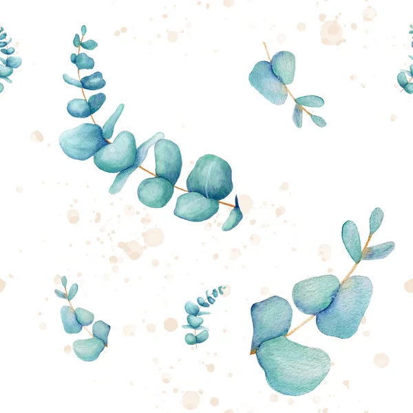 Aquarel delicate bloemmotief eucalyptus met spatten. Handgetekend. Botanische kunst achtergrond. Voor bruiloft stationaire, groeten, wallpapers, mode, achtergrond. Eucalyptus, katoen — Stockfoto