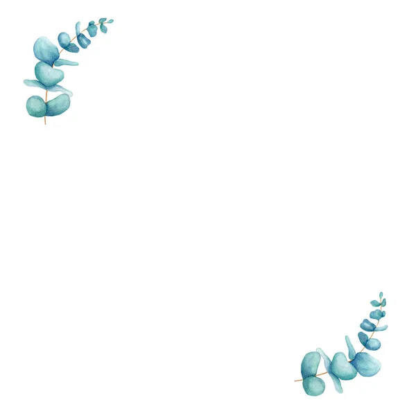 Aquarela ilustração floral eucalipto. Mão desenhada isolada sobre fundo branco. Arte botânica. Para casamento estacionário, saudações, papéis de parede, moda, fundo. Eucalipto, algodão Imagens Royalty-Free