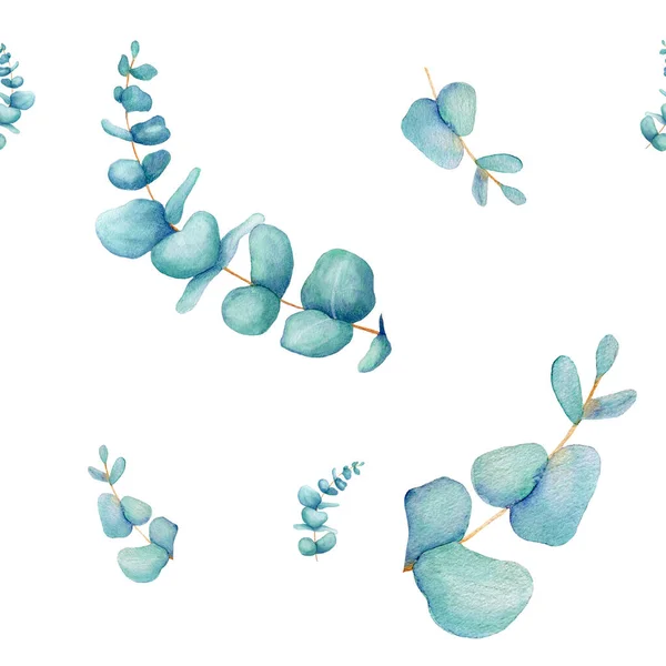 Aquarela delicado padrão floral de eucalipto. Mão desenhada. Fundo de arte botânica. Para casamento estacionário, saudações, papéis de parede, moda, fundo. Eucalipto, algodão Imagens Royalty-Free