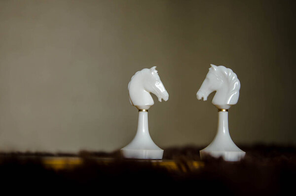 two white chess horse stands on a chessboard