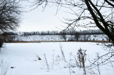Soğuk kış günü karla kaplı topraklar ve ağaçlar, kış köyü
