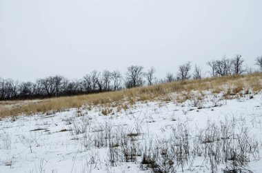 Soğuk kış günü karla kaplı topraklar ve ağaçlar, kış köyü