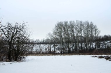 Soğuk kış günü karla kaplı topraklar ve ağaçlar, kış köyü