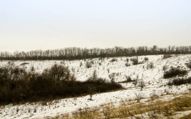 Soğuk kış günü karla kaplı topraklar ve ağaçlar, kış köyü