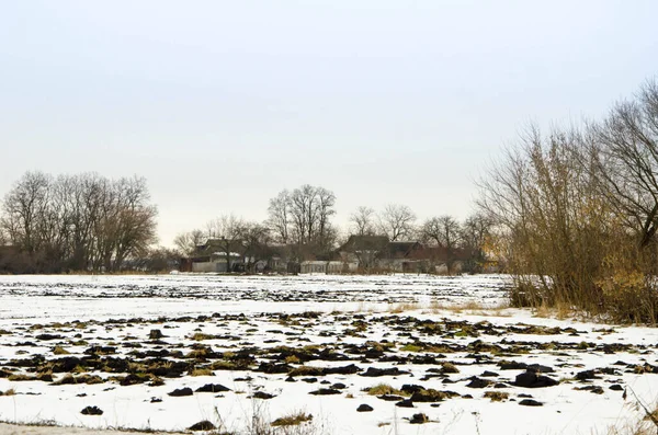 Soğuk kış günü karla kaplı topraklar ve ağaçlar, kış köyü