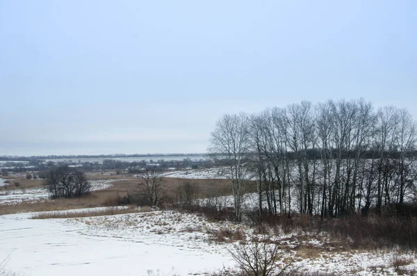 Soğuk kış günü karla kaplı topraklar ve ağaçlar, kış köyü