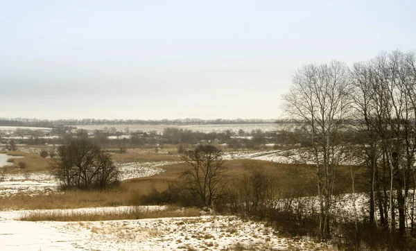 Kalter Wintertag Verschneiter Boden Und Bäume Winterdorf — Stockfoto