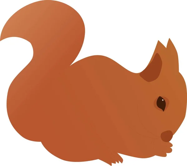 Illustration Squirrel White Background Orange Brown Squirrel Wild Life Image — Stock Vector