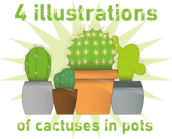 Illustration of cactuses in pots on a white background. Potted house plants, cacti, plants for home, ready to use, expanded polystyrene. For your design