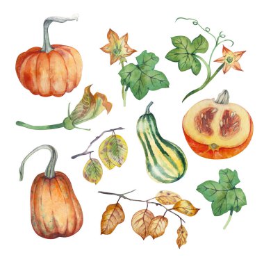 Bir dizi suluboya sonbahar çizimleri: balkabakları, çiçekler, yumurtalıklar, en fazla sonbahar yaprakları. Kartpostal, davetiye, hatıra defteri tasarımı için harika bir seçenek.