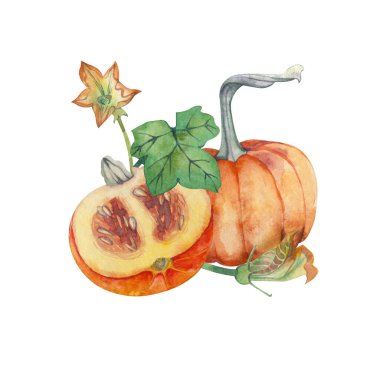 Balkabağı, sonbahar yaprakları, sulu boyayla boyanmış çiçekler..