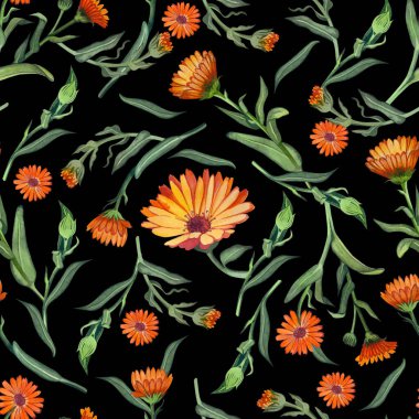 Portakal çiçekleri ve yeşil takvim yapraklı kusursuz desenli koyu bir arka planda, suluboya elle boyanmış. Tekstil tasarımı, yapıştırma kitabı, duvar kağıdı ve kağıt basmaya elverişli.