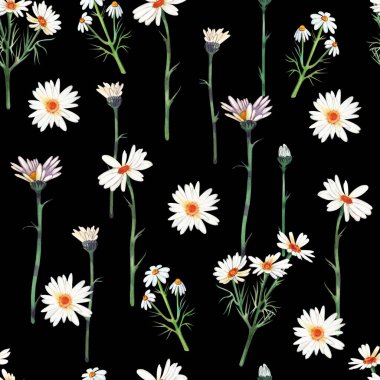 Seamless pattern of chamomile on a dark background hand-painted in watercolor.