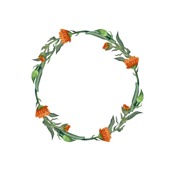 A wreath of calendula flowers hand-painted in watercolor. Suitable for the design of postcards, invitations, labels of cosmetics and medicines. — Stock Photo, Image