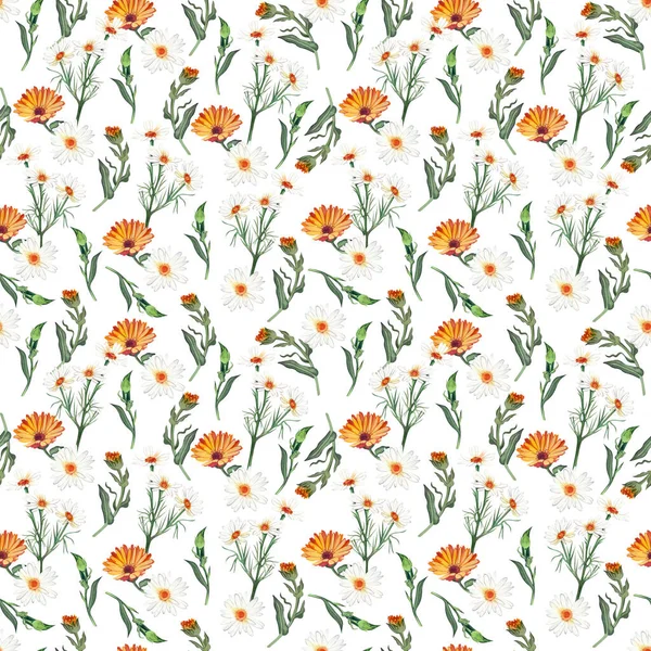 Seamless pattern with chamomile flowers and orange calendula flowers on a white background hand-painted in watercolor. Perfect for printing design, textiles, postcards and decor. — Stock Photo, Image