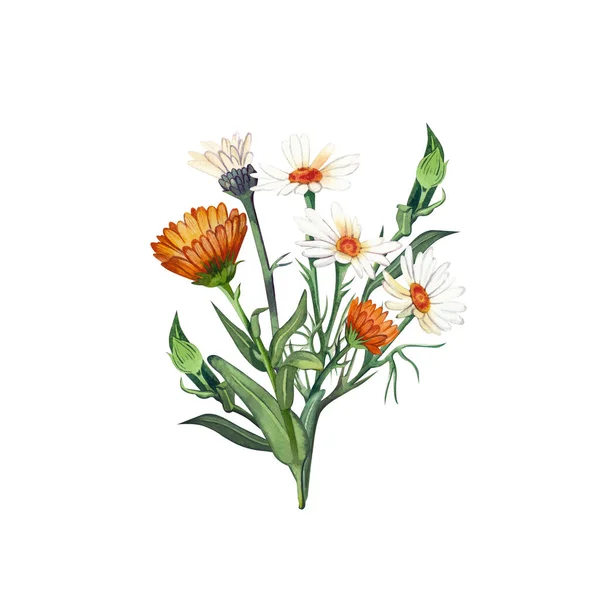 Flower arrangement of calendula and chamomile flowers hand-painted in watercolor isolated on a white background. Suitable for printing design, postcards, invitations. Wedding decorations. — Stock Photo, Image