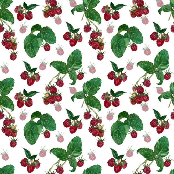 Seamless pattern with raspberry berry and green leaves hand-painted in watercolor on a white background. Suitable for design, textiles, scrapbooking. — Stock Photo, Image