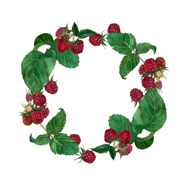 A wreath of berries and raspberry leaves hand-painted in watercolor on a white background. — Stock Photo, Image