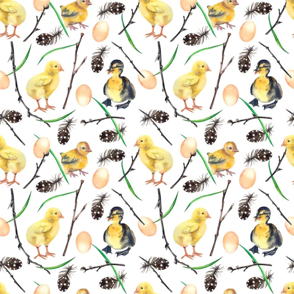 鶏、アヒル、春の小枝、羽、卵を手描きの水彩画で白地に描いたシームレスなパターン. ストック写真