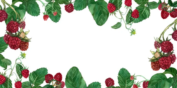 赤いラズベリーの果実とその葉の長方形のバナー。水彩画で手描き。. ストックフォト