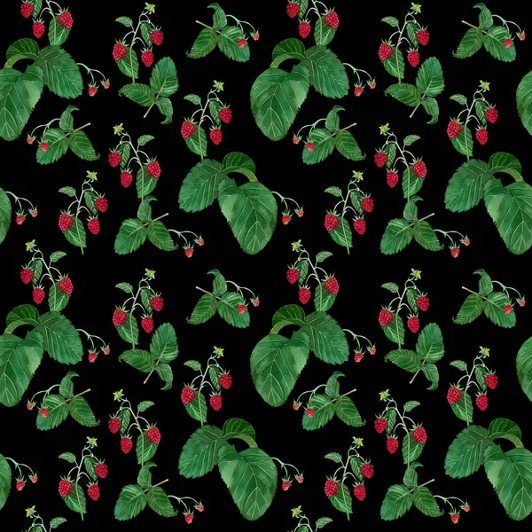 Seamless Pattern Raspberry Berry Green Leaves Hand Painted Watercolor Black — Stock Photo, Image