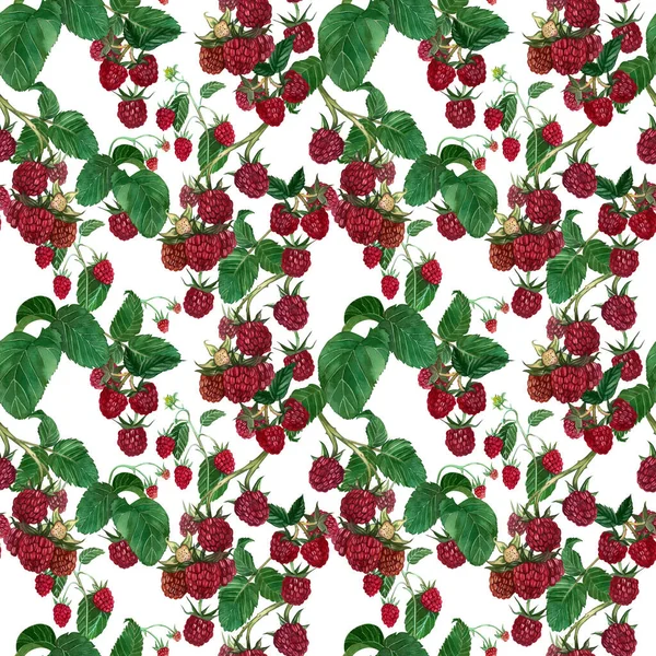 Seamless Pattern Raspberry Berry Green Leaves Hand Painted Watercolor White — Stock Photo, Image