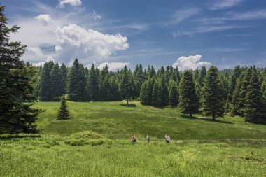 Dağlar yazın güzel doğal manzara.
