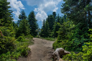 Dağlar yazın güzel doğal manzara.