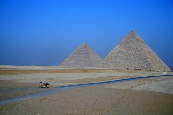Longa Marcha Das Pirâmides Giza Shakahua Egito — Fotografia de Stock