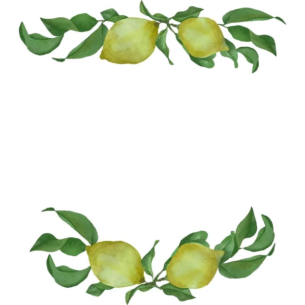 Векторный Орнамент Плакат Открытка Приглашение Граница Дизайн Лимонами Листьями — стоковый вектор
