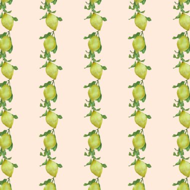 Suluboya el çizimi vektör deseni, arkaplan, duvar kağıdı, sarı limon ve yapraklarla pürüzsüz.