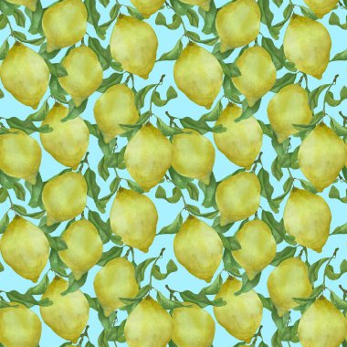 Suluboya el çizimi vektör deseni, arkaplan, duvar kağıdı, sarı limon ve yapraklarla pürüzsüz.