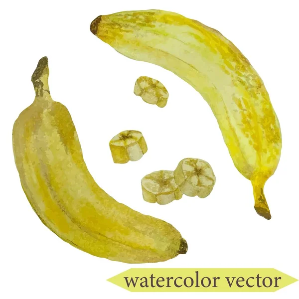 Watercolor Vector Set Isolated Bananas — Stock Vector