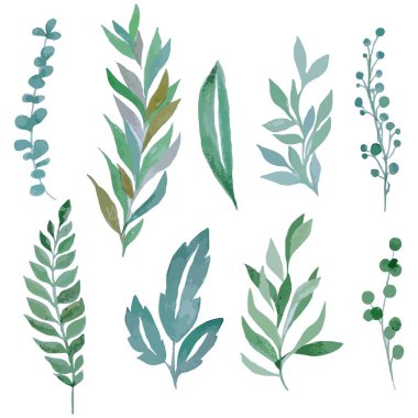 Suluboya el çizimi vektör yeşil dal dalları