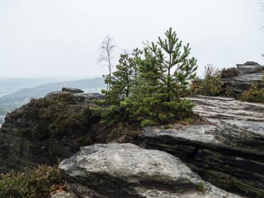 Czech kumtaşı kaya formatlarında yürüyüş ulusal park manzarası