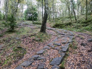 Czech kumtaşı kaya formatlarında yürüyüş ulusal park manzarası