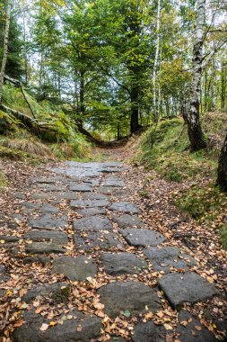 Czech kumtaşı kaya formatlarında yürüyüş ulusal park manzarası
