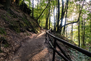 Czech kumtaşı kaya formatlarında yürüyüş ulusal park manzarası