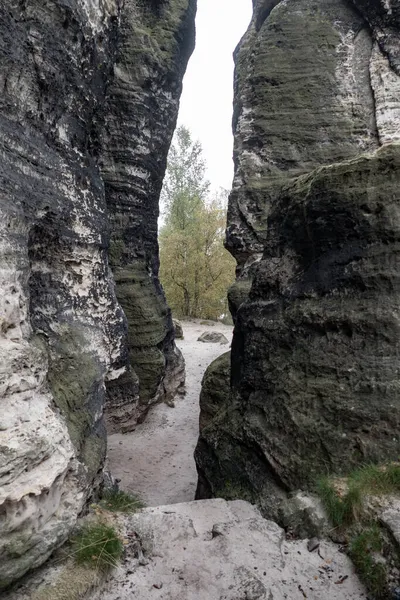 Туризм Чехии Песчаник Скальных Форматинов Национального Парка Ландшафт — стоковое фото