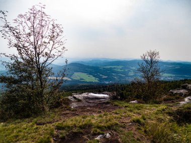 Çekoslovakya ormanlarında sonbahar yürüyüşü.