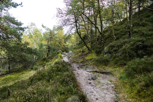 Herbstwanderung Der Herrlichen Tschechischen Waldnatur — Stockfoto