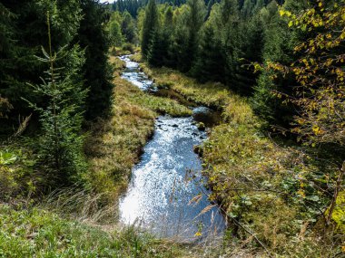 Çekoslovakya ormanlarında sonbahar yürüyüşü.