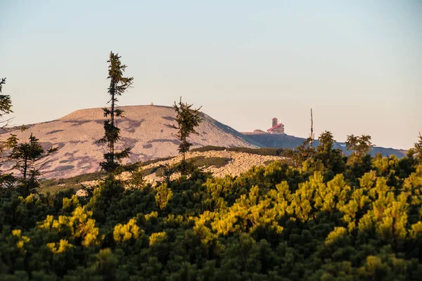 Vackert Landskap Czech Högsta Berg Krkonose Europa — Stockfoto