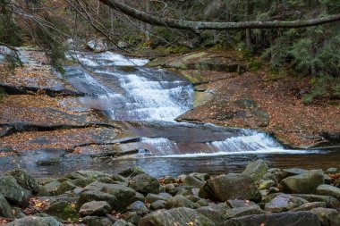 Czech dağlarındaki bir mumyanın üzerindeki küçük şelale krkonose.