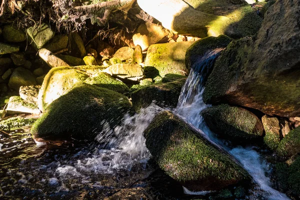 Piccola Cascata Fiume Mumlava Montagne Ceche Krkonose — Foto Stock