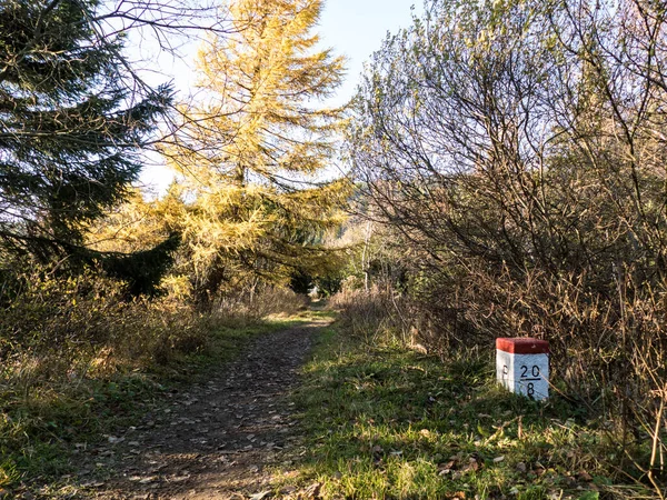 Prachtig Kleurrijk Herfstbos Tsjechisch Landschap — Stockfoto