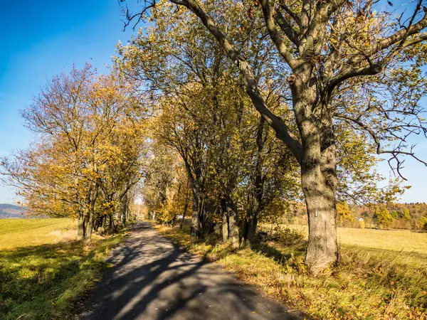 Schöne Tschechische Landschaft Herbst Europa — Stockfoto